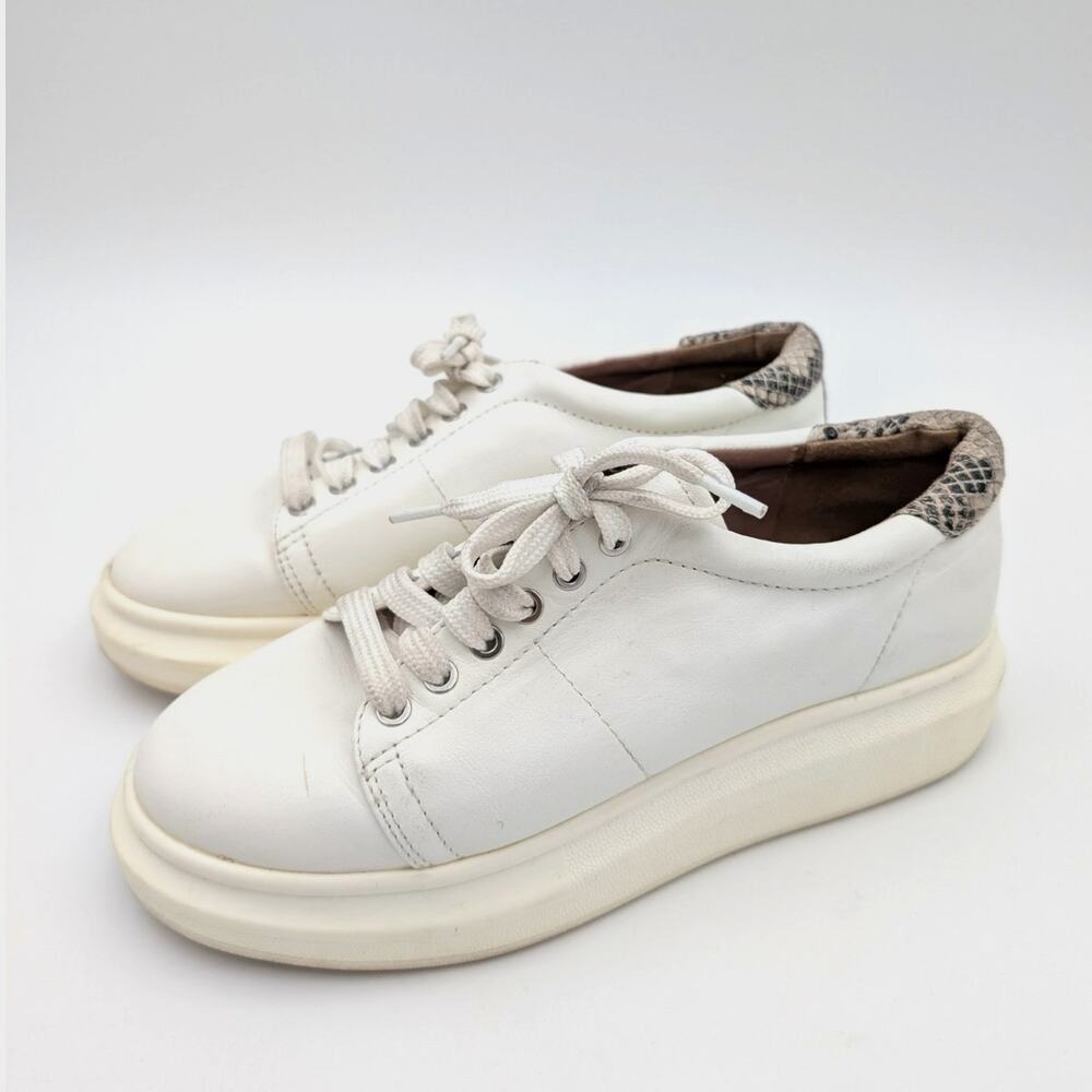 Linea Paolo Kelsey Platform Sneaker Women’s White Snakeskin Size US8.5M EU39